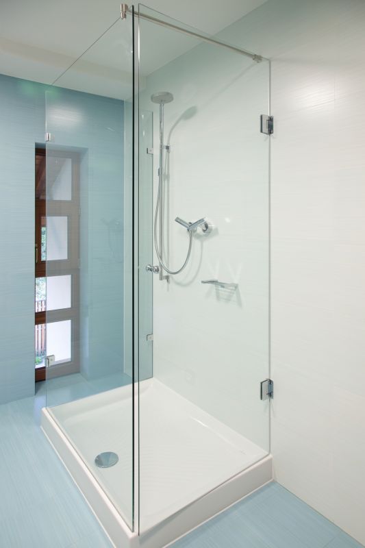 Modern Shower with Built-in Niche